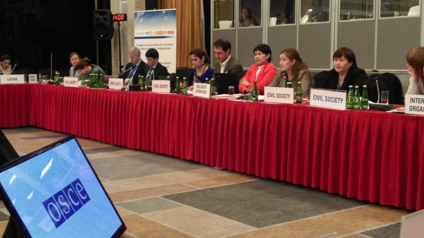 Newsletter: Raising torture concerns at the 2015 OSCE Human Dimension Implementation Meeting