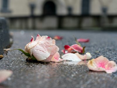 Uzbekistan: 21 Years After Andijan, Victims Still Await Truth and Justice